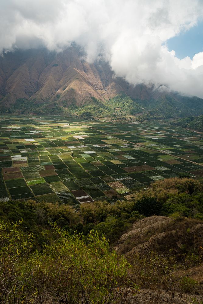 Photograph by Agnieszka Wieczorek