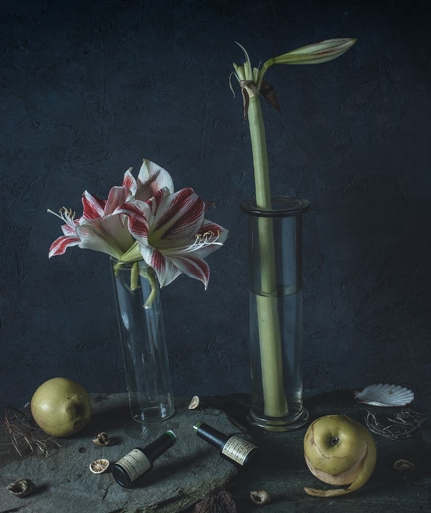 Photograph by Oxana Yushchenko