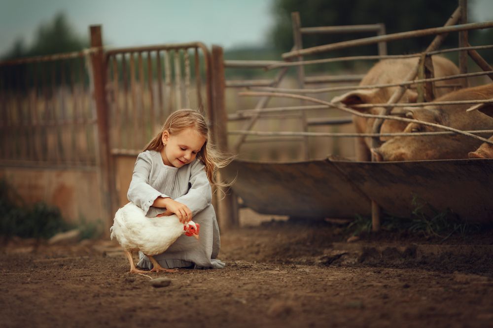 Photograph by Костюк Зоя