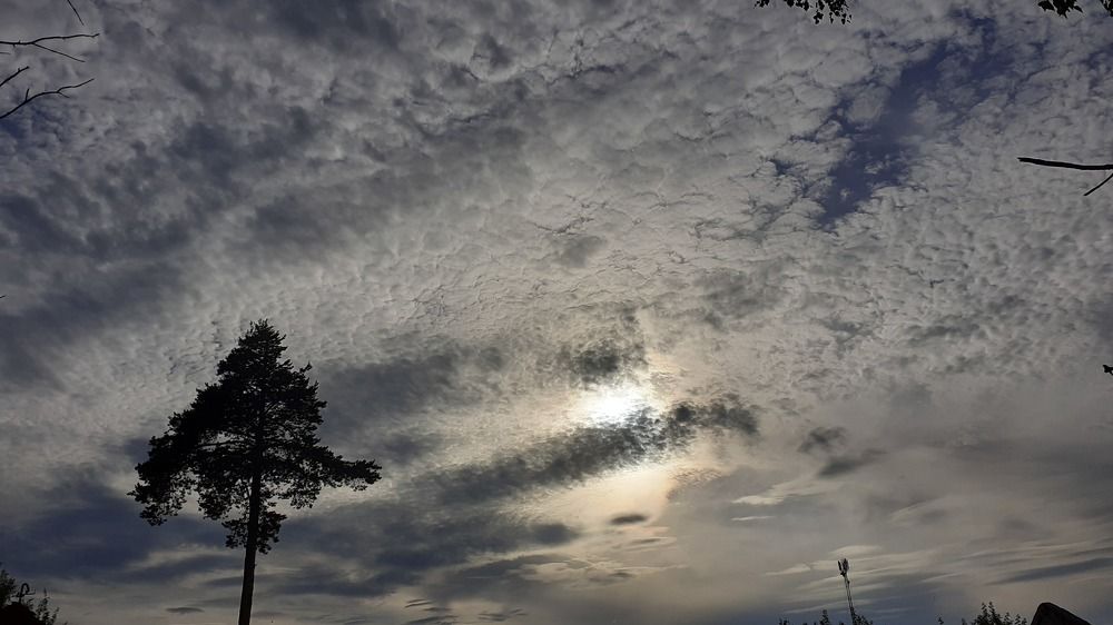 Photograph by Елена Лещева