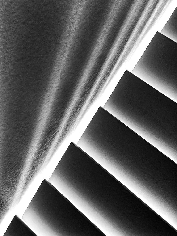 Photograph by Elisa Bond