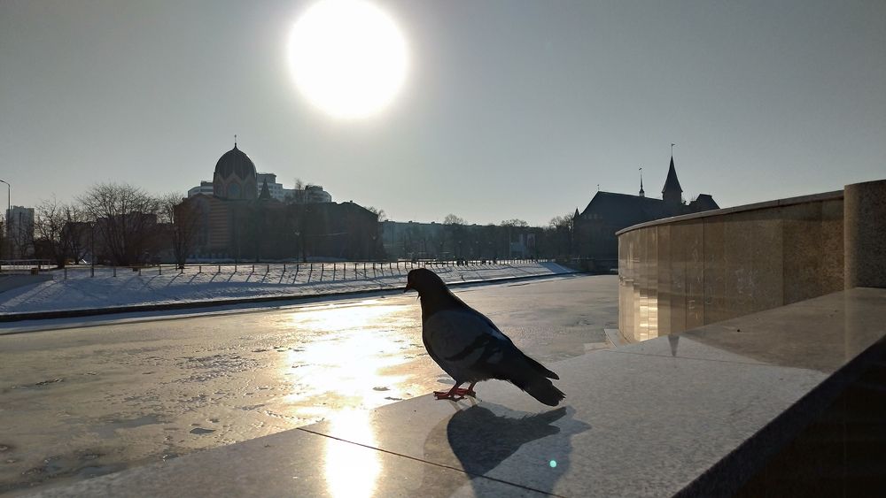 Ожидание весны. Waiting for spring