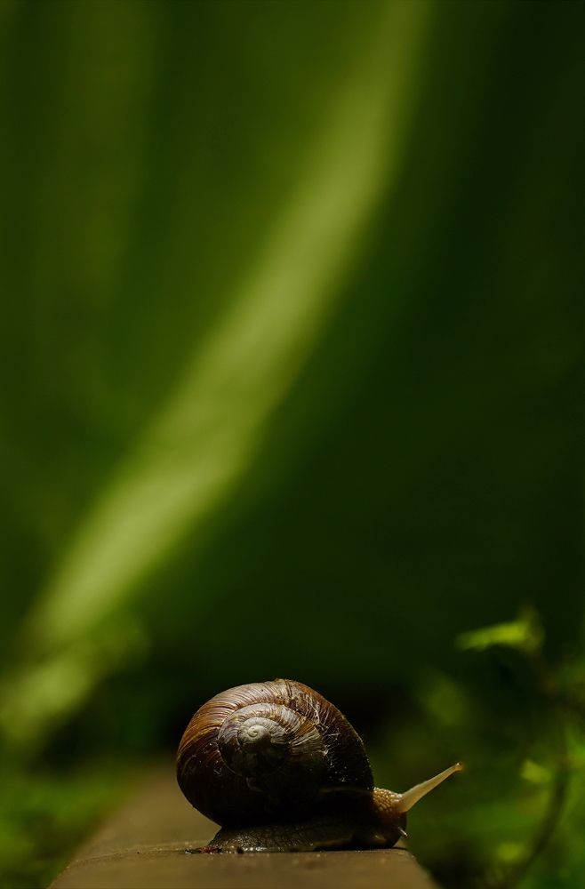 Photograph by illen