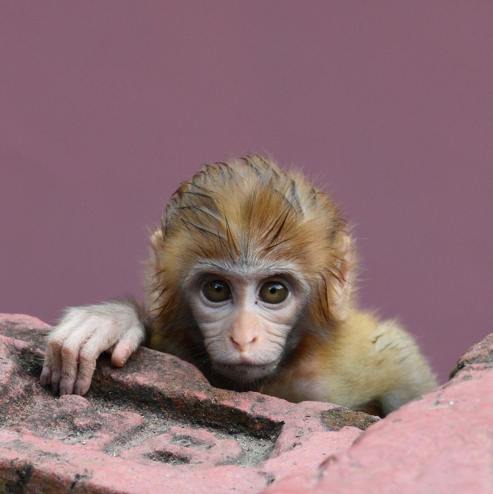 Photograph by Arnab