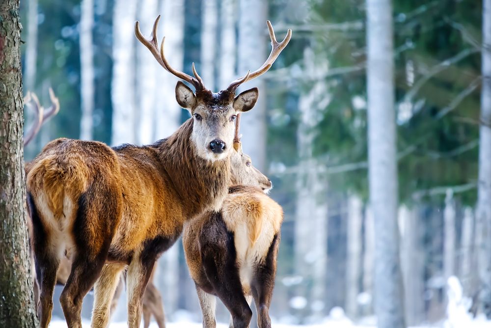 Photograph by Ilja Enger-Tsizikov