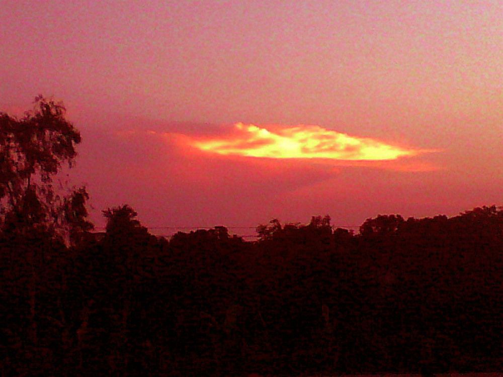 Surprise beauty of nature