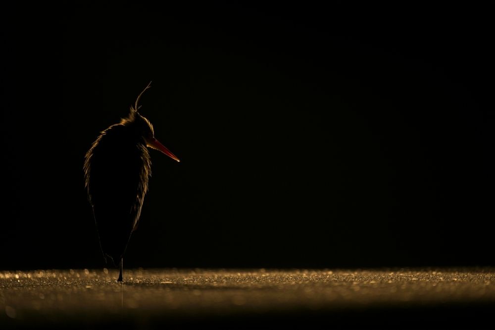 Photograph by Juraj Benčík