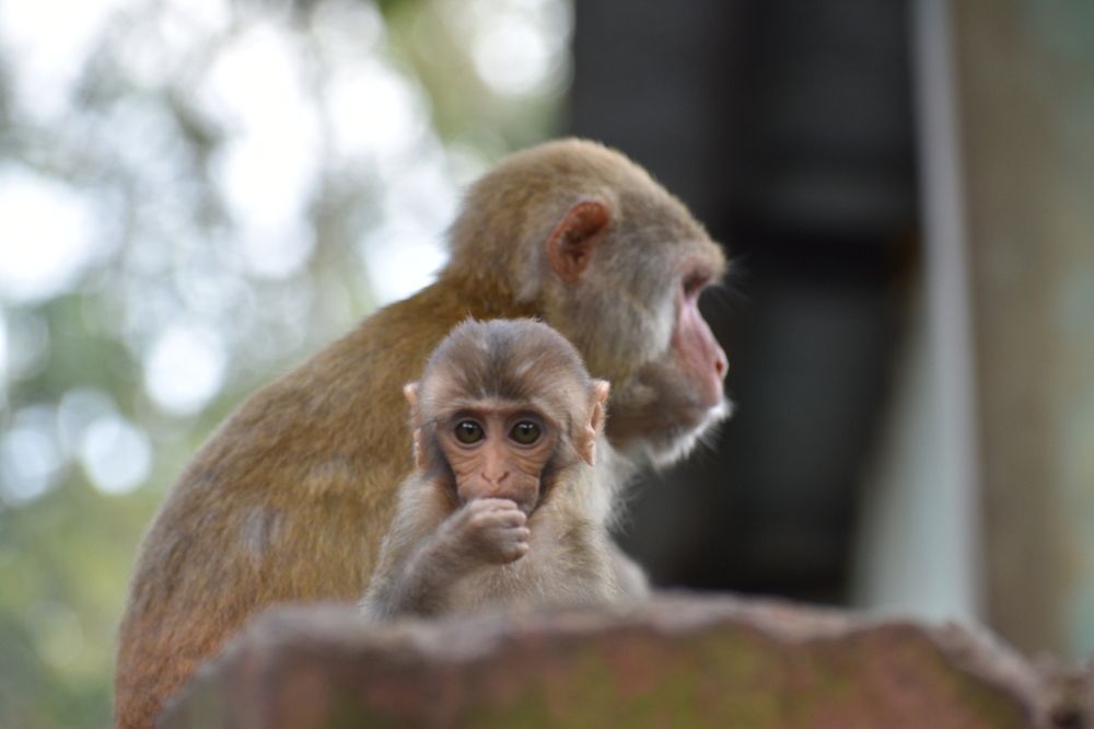Photograph by Arnab