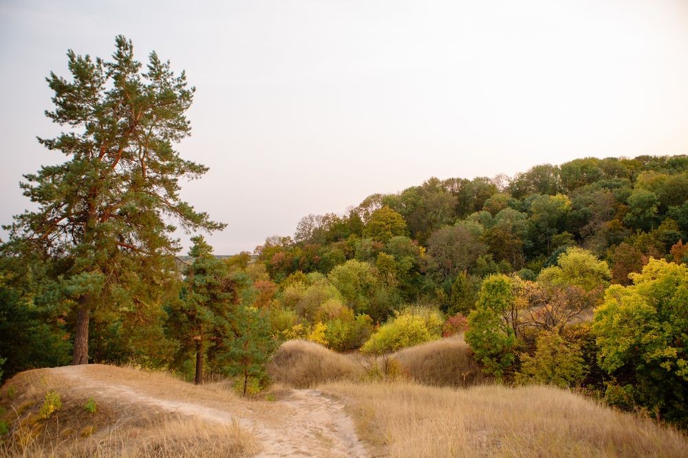 Photograph by Екатерина Меркулова