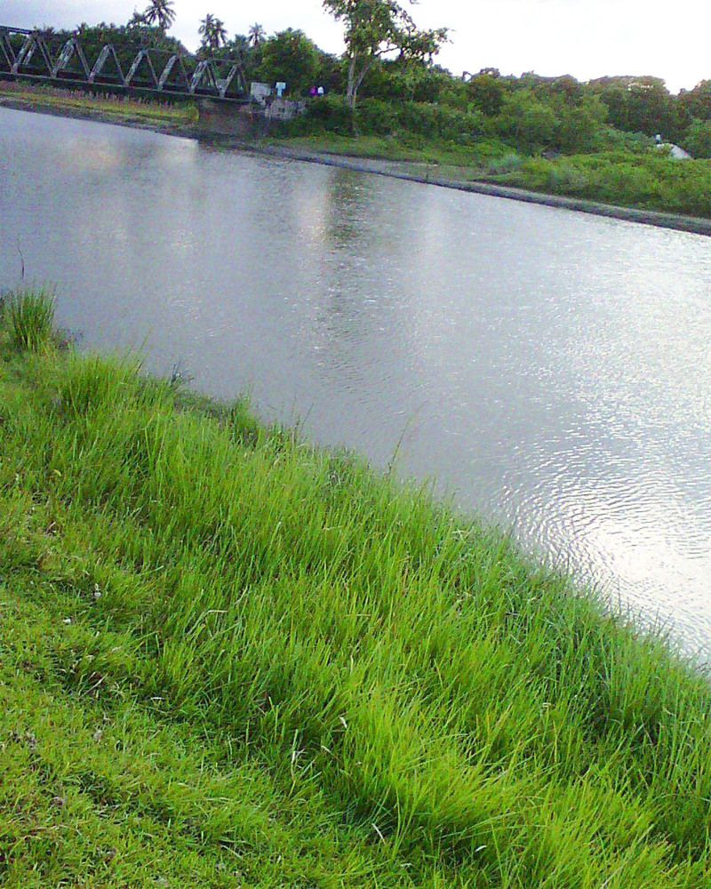 The  Beautiful Riverside Of My Village