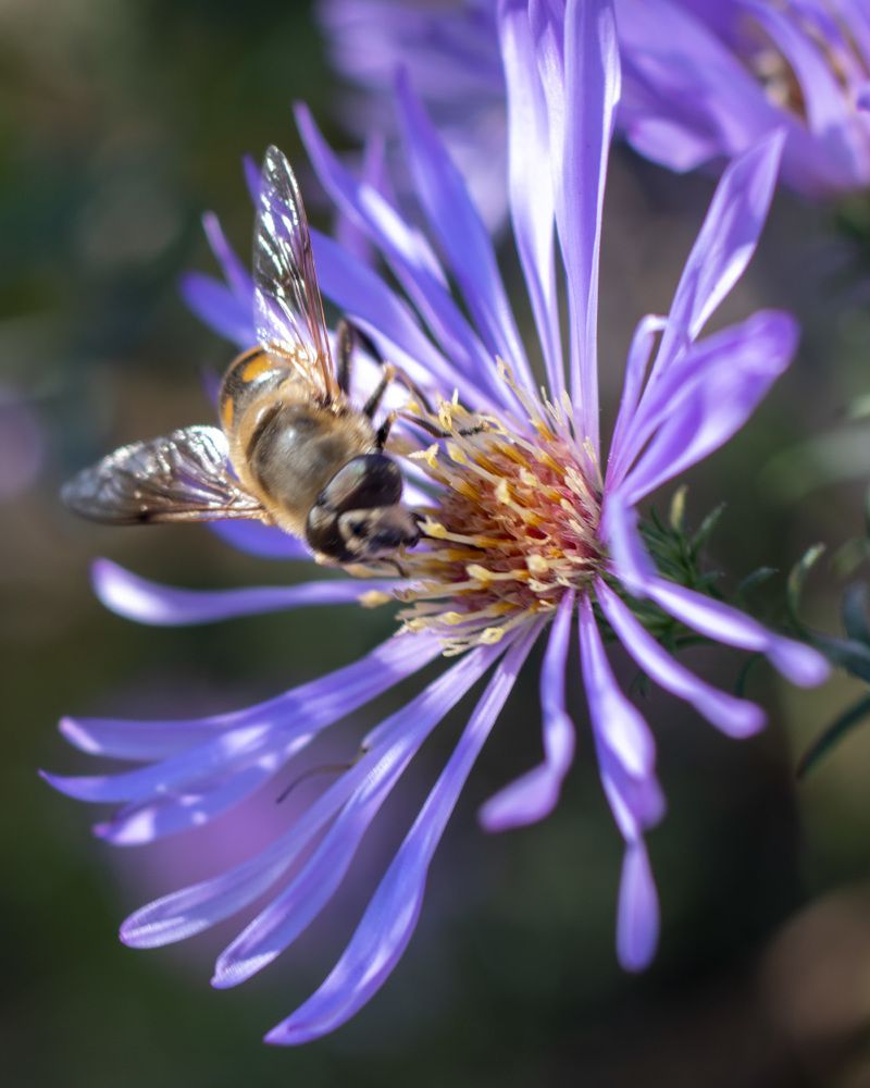 От весны до осени