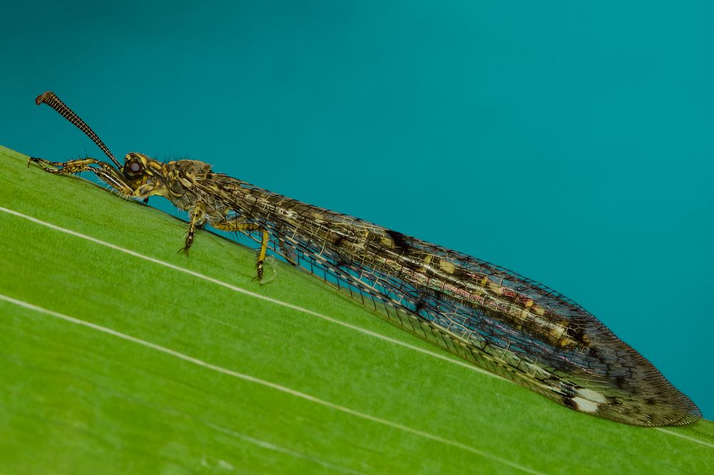 Photograph by Денис Ветренко