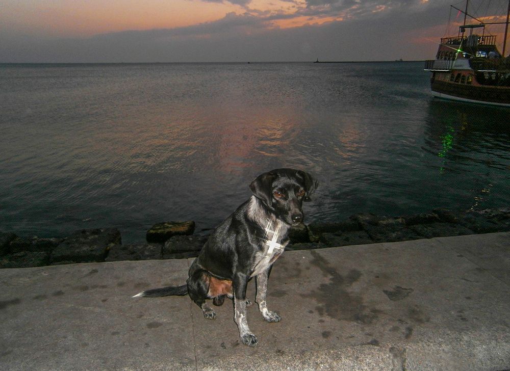 Photo #5894075