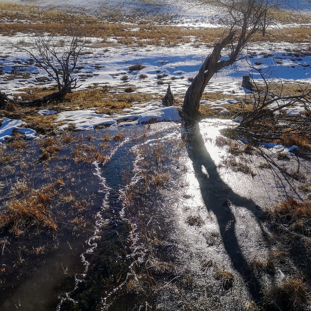 Утро Каратюргуна.