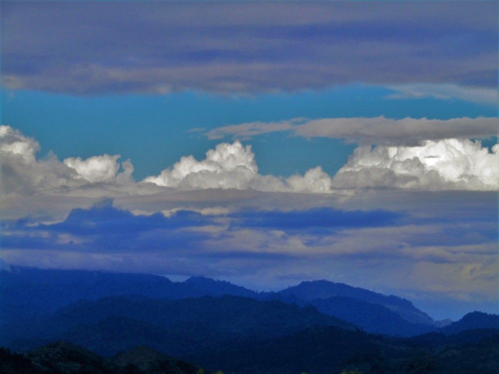Photograph by Dominique Rojas