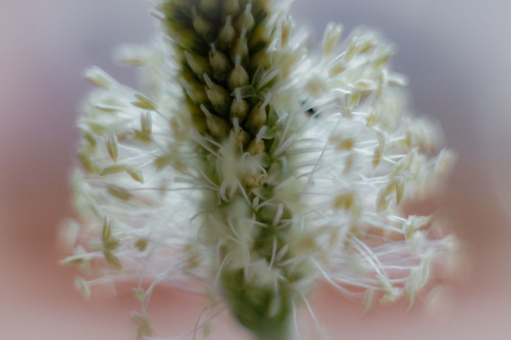 Photograph by Светлана Лехмус