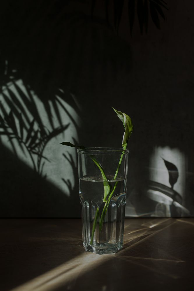 Photograph by Евгения Цой