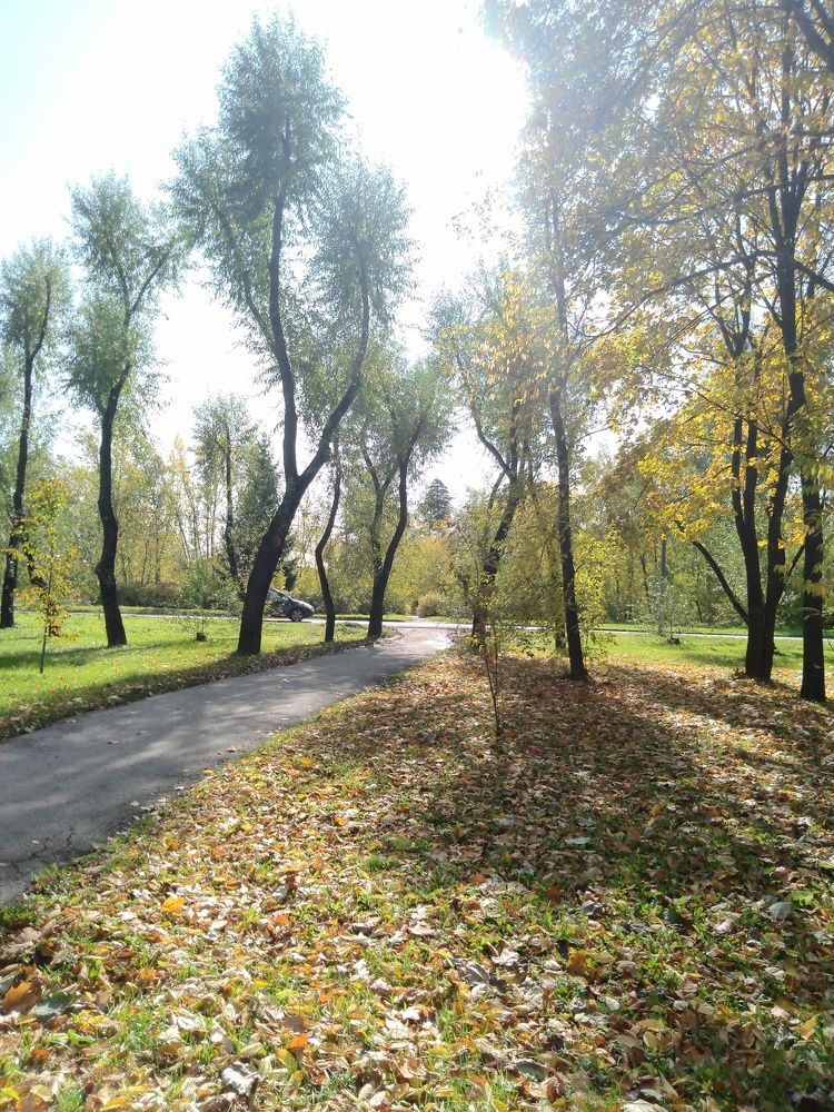 Осенью в парке