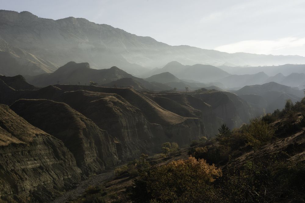 Photograph by Елена Есина