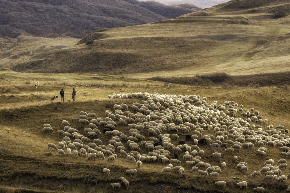 Photograph by Елена Есина