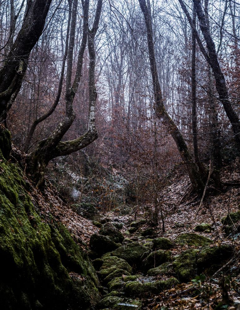Dry riverbed in Kosjerić