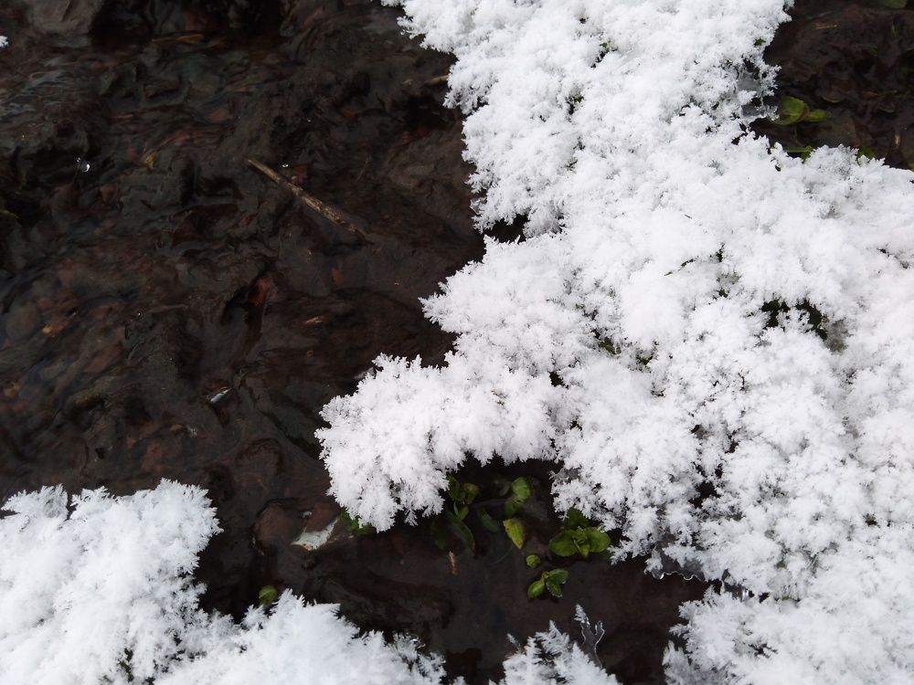 Зимние ручьи