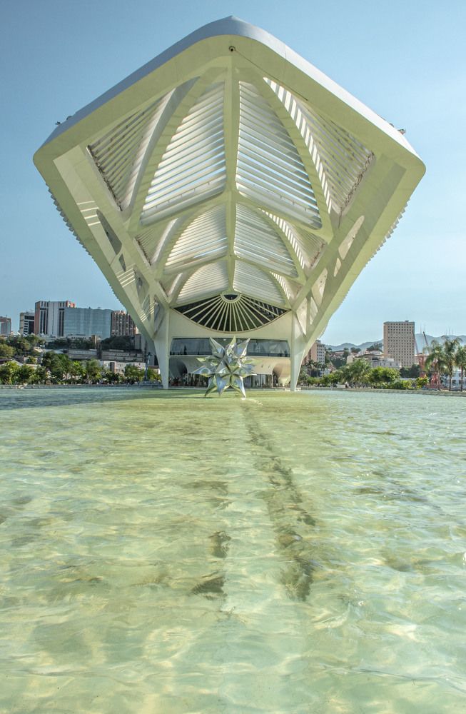 Фотография автора david xavier de carvalho