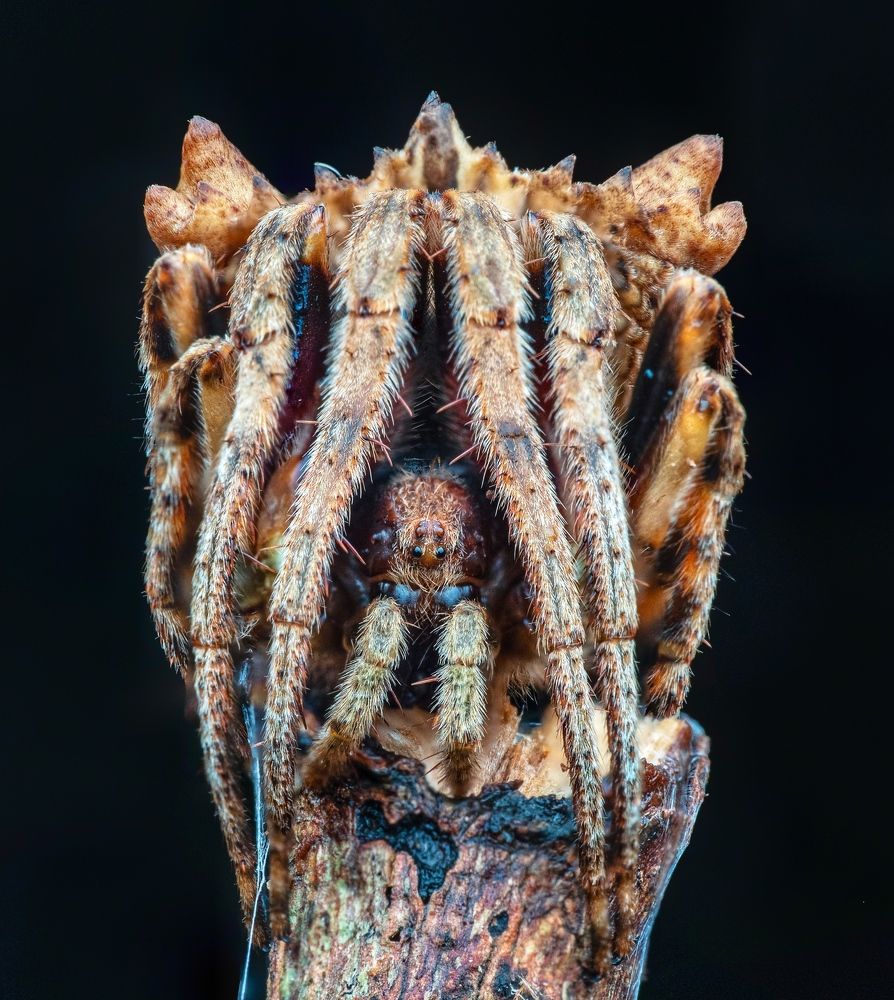 Photograph by Madhan Kumar Balaguru