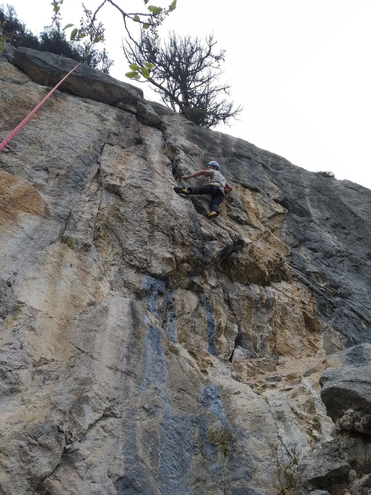 Photo #5894173