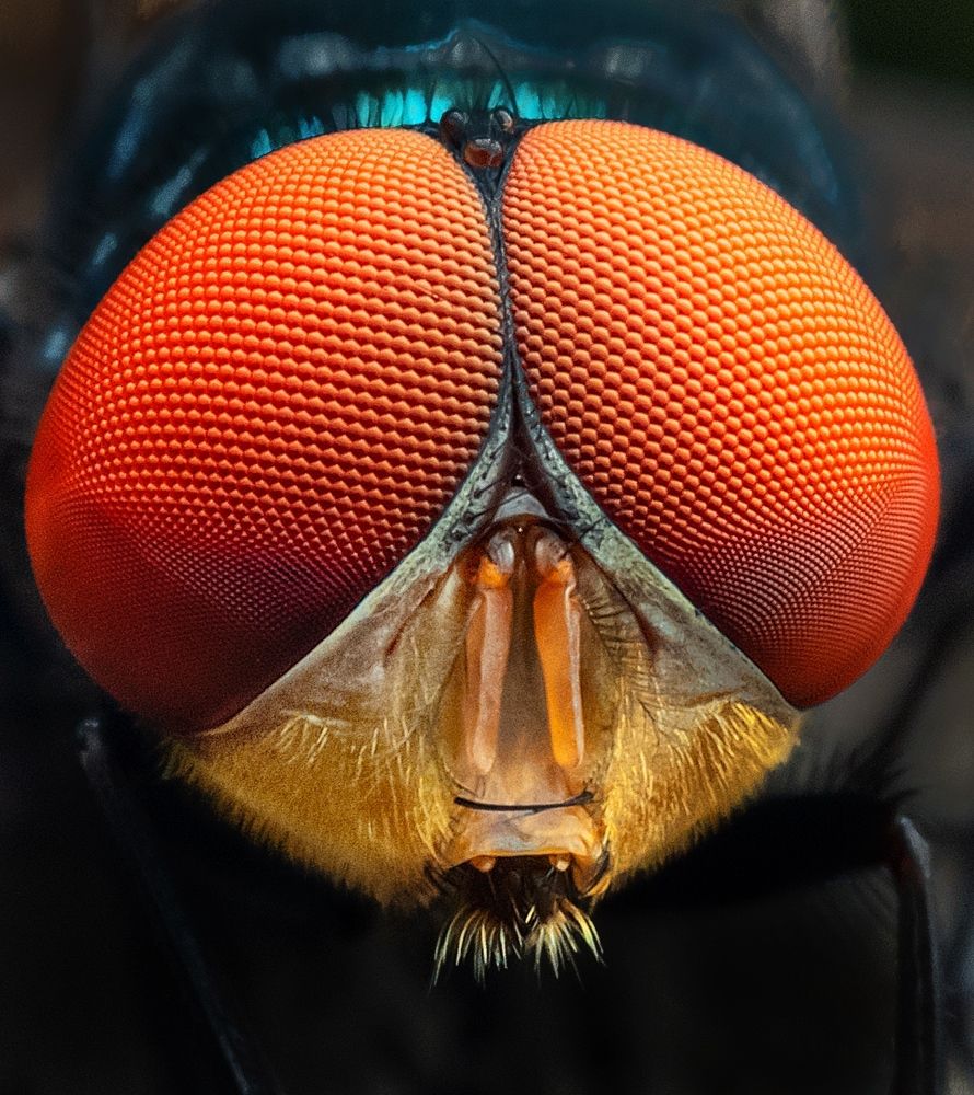 Photograph by Madhan Kumar Balaguru