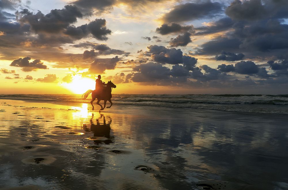 Photograph by Fathi Ibrahim