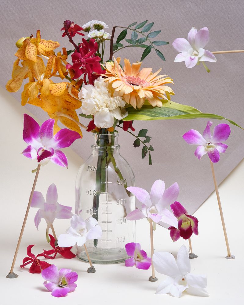 Photograph by Анна Дубровина