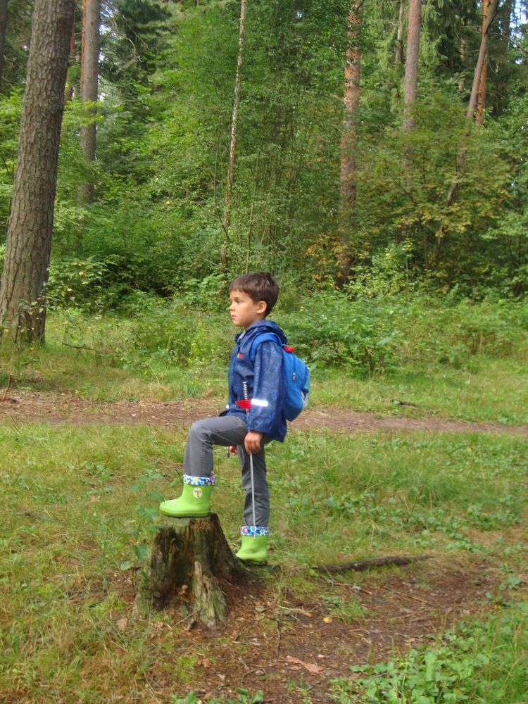Photo #5894277