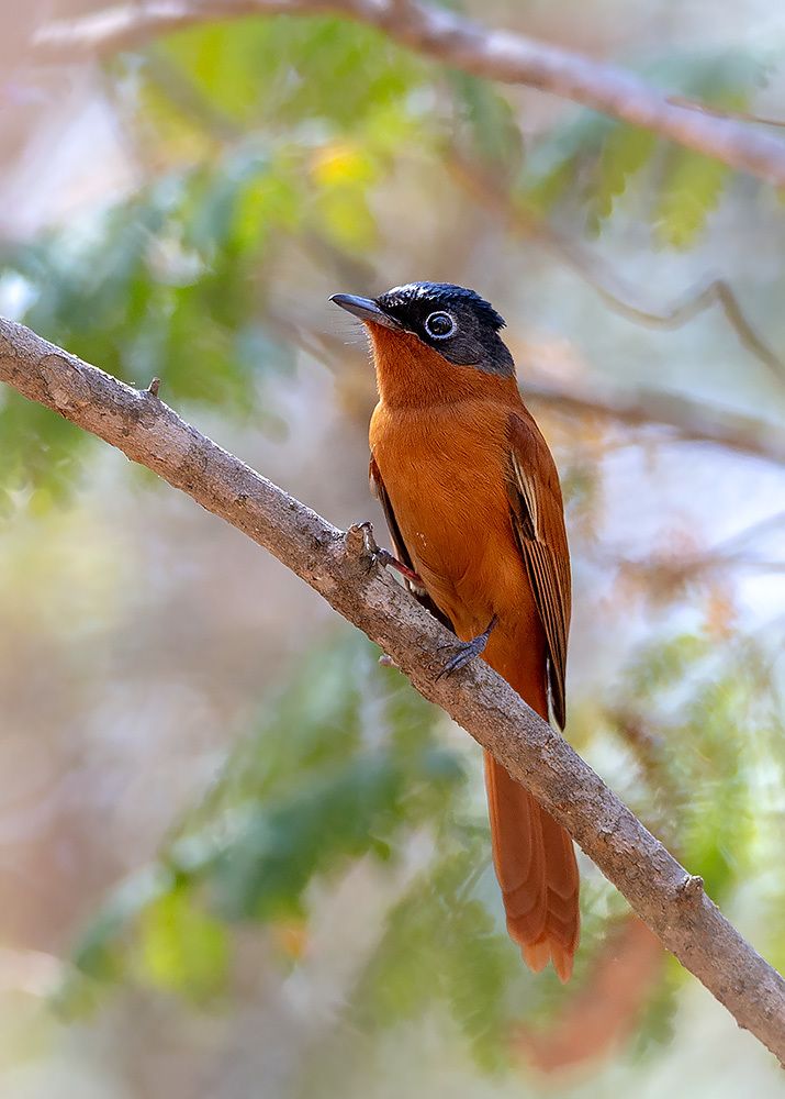 Photograph by Сергей Савви