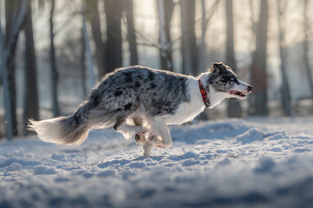 Photograph by Lucia Drietomska