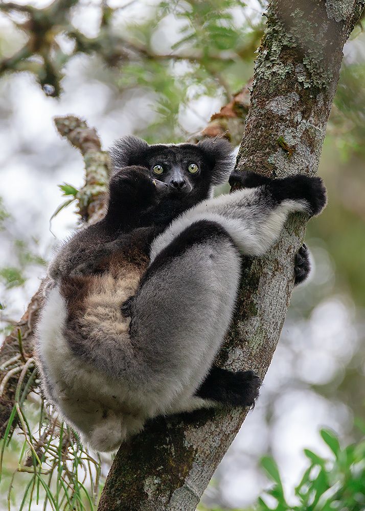 Photograph by Сергей Савви