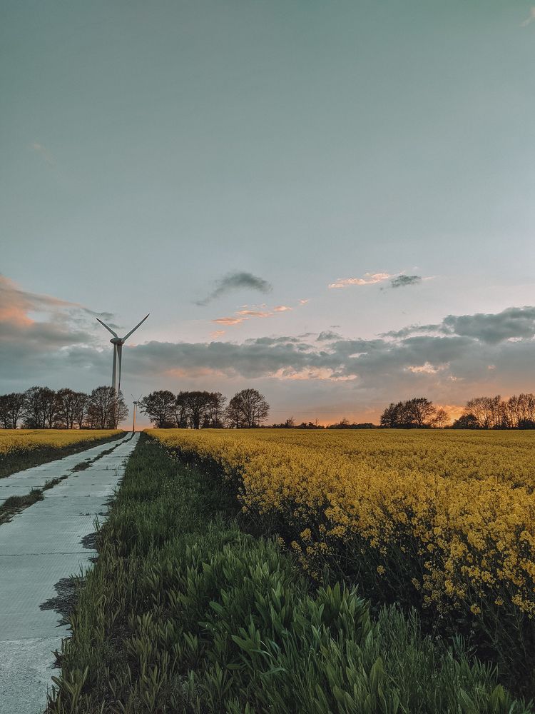 Photograph by Темур Сапрыкин