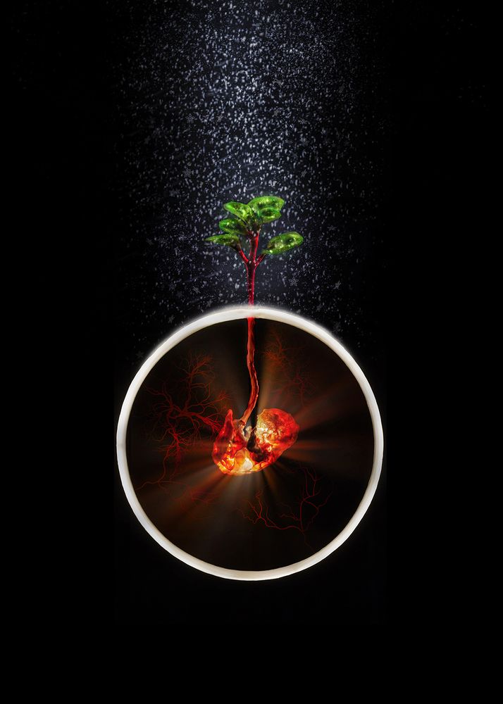 Photograph by amir badrazimi