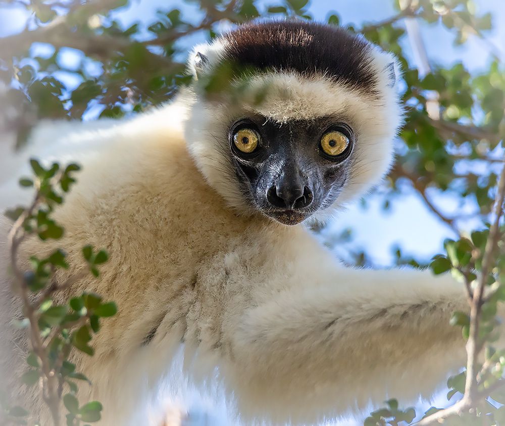 Photograph by Сергей Савви