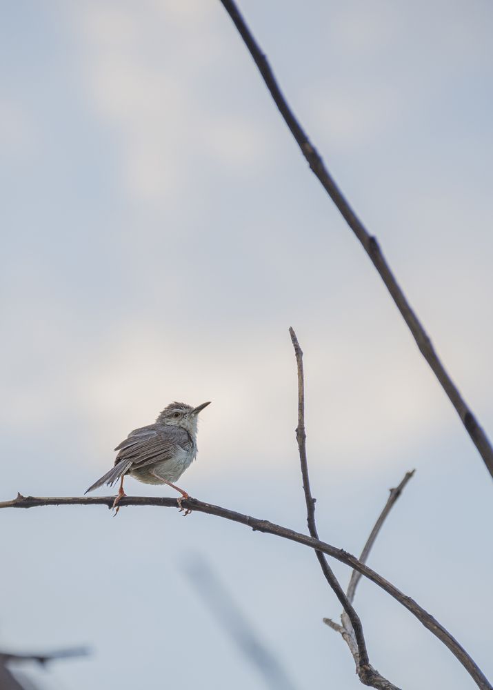 Photograph by Yahya Liaquat