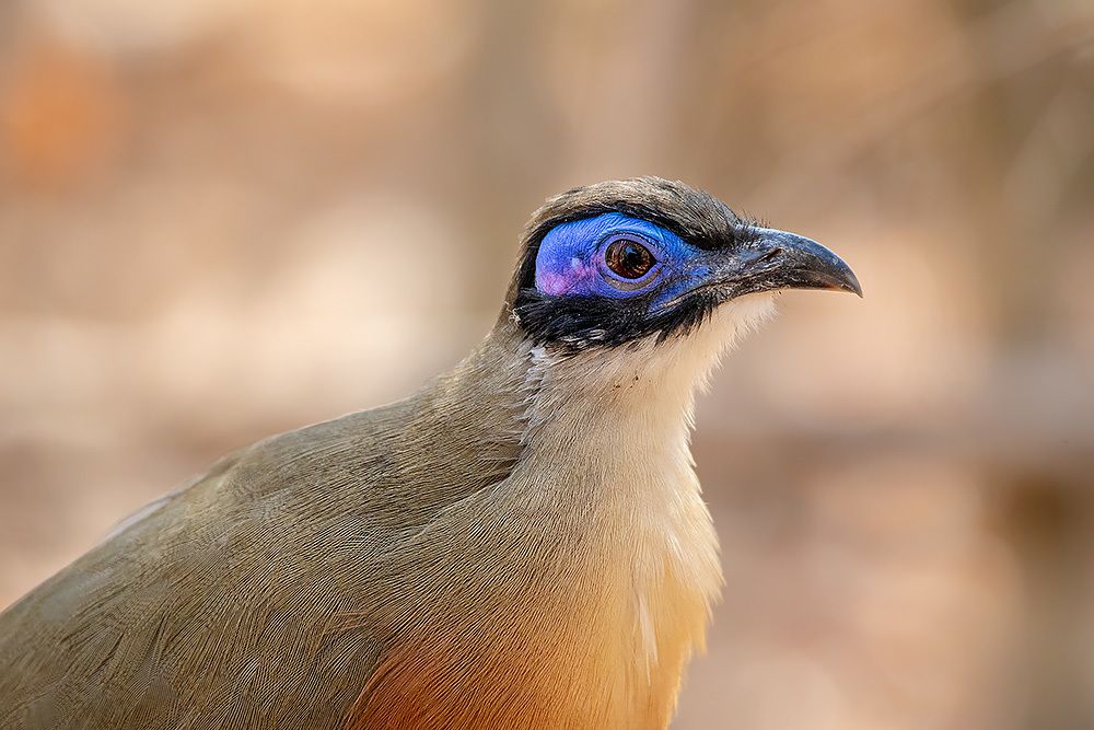 Photograph by Сергей Савви