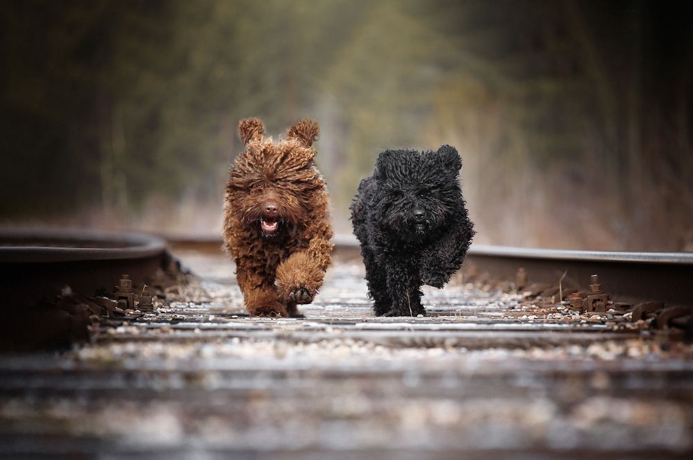 Photograph by Наталия Поникарова