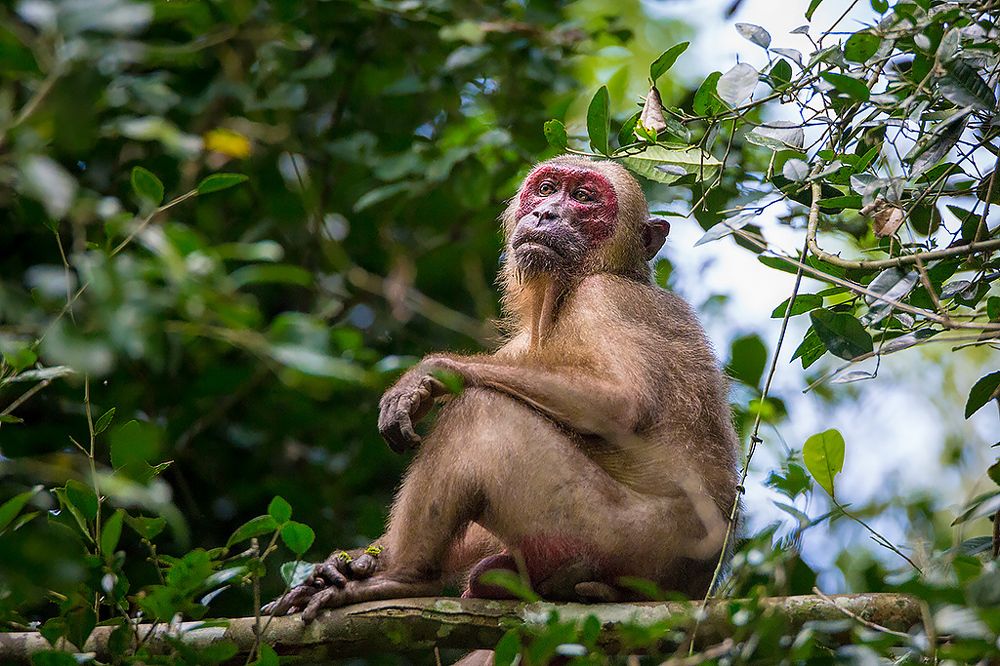 Photograph by Сергей Савви