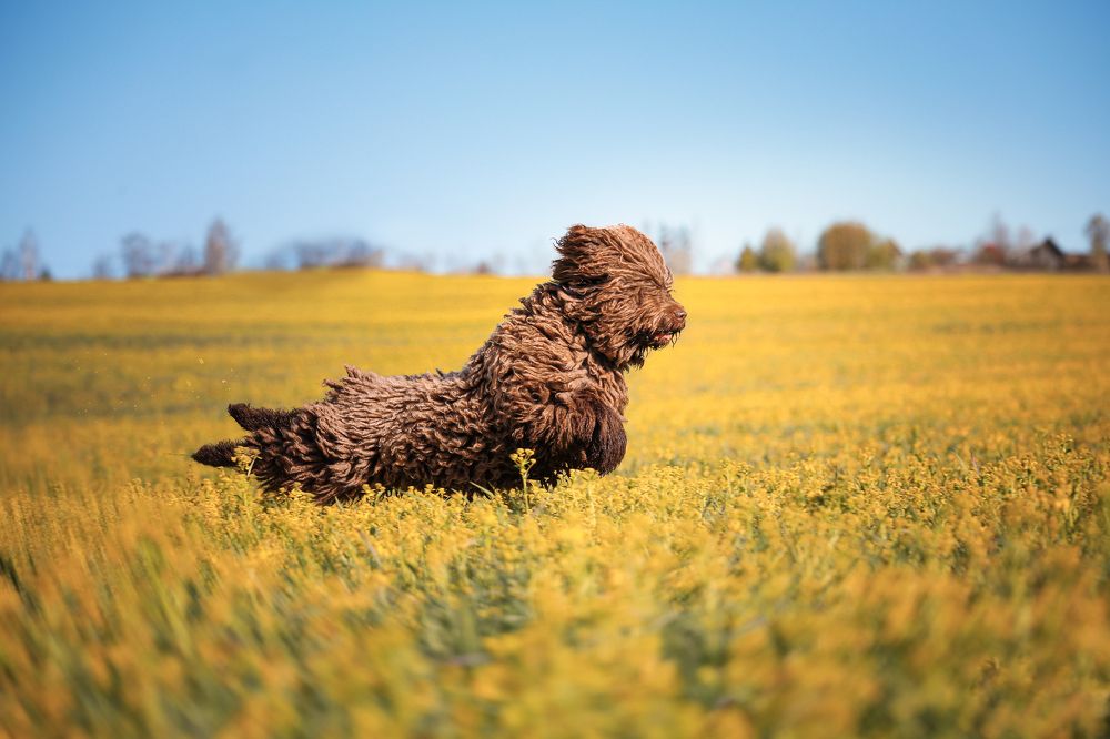 Photograph by Наталия Поникарова