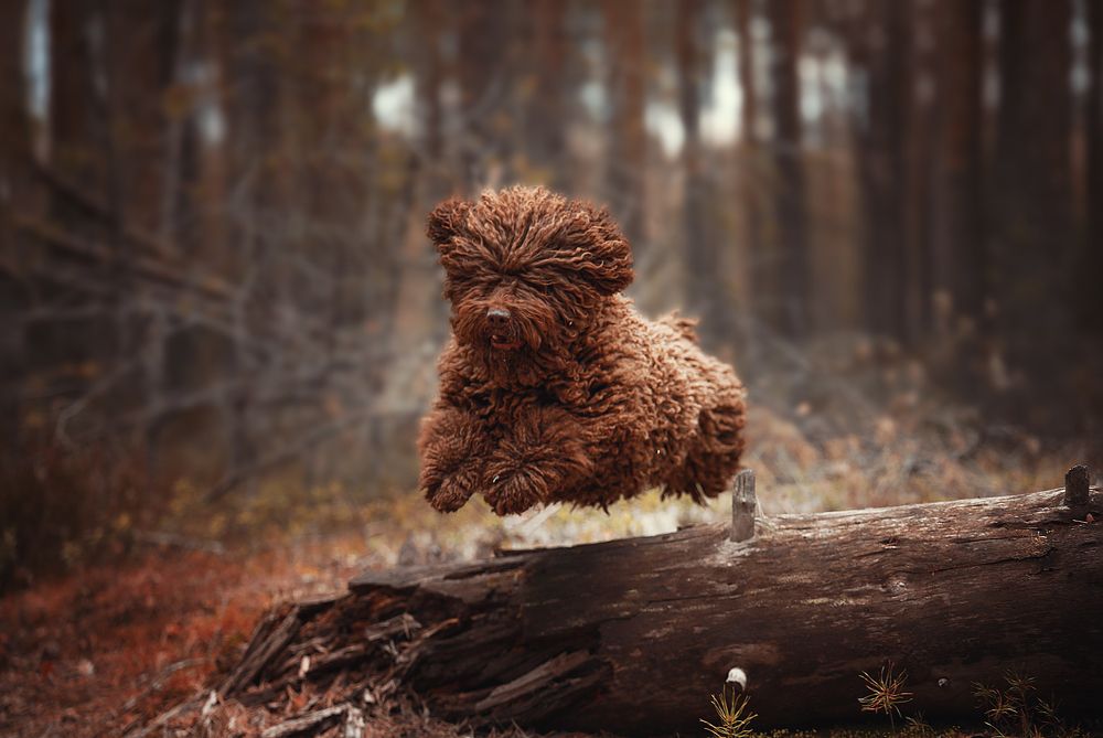 Photograph by Наталия Поникарова