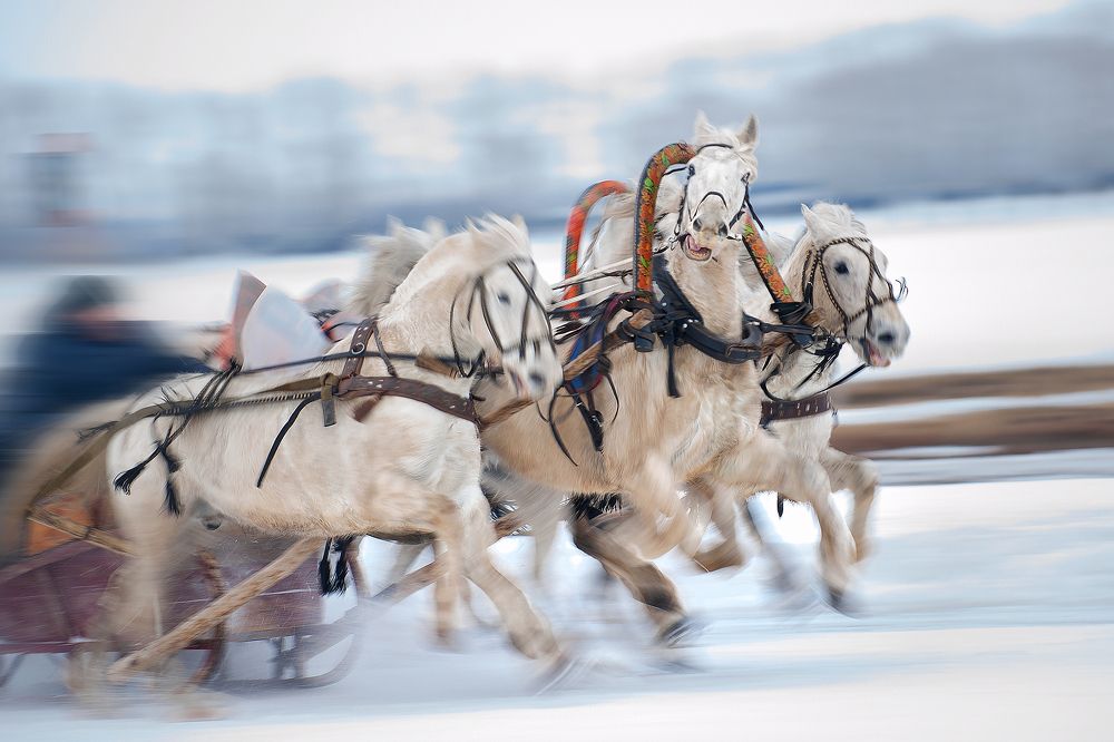 Русская тройка!