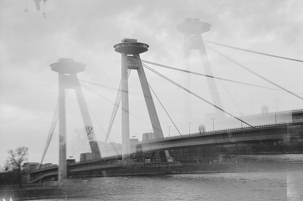 Photograph by Polina Bogomolova