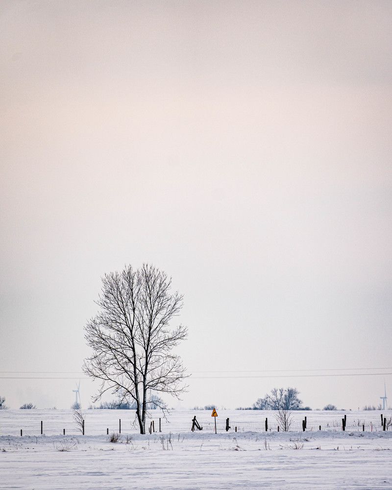 Photograph by Daniel Malinowski