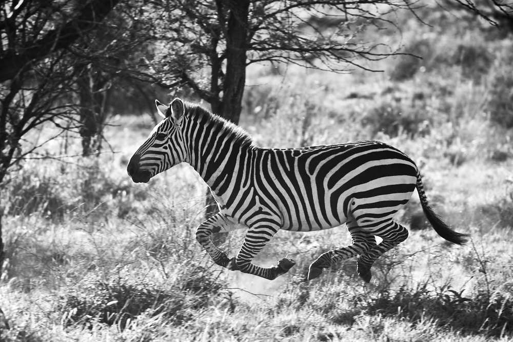 Невесомость