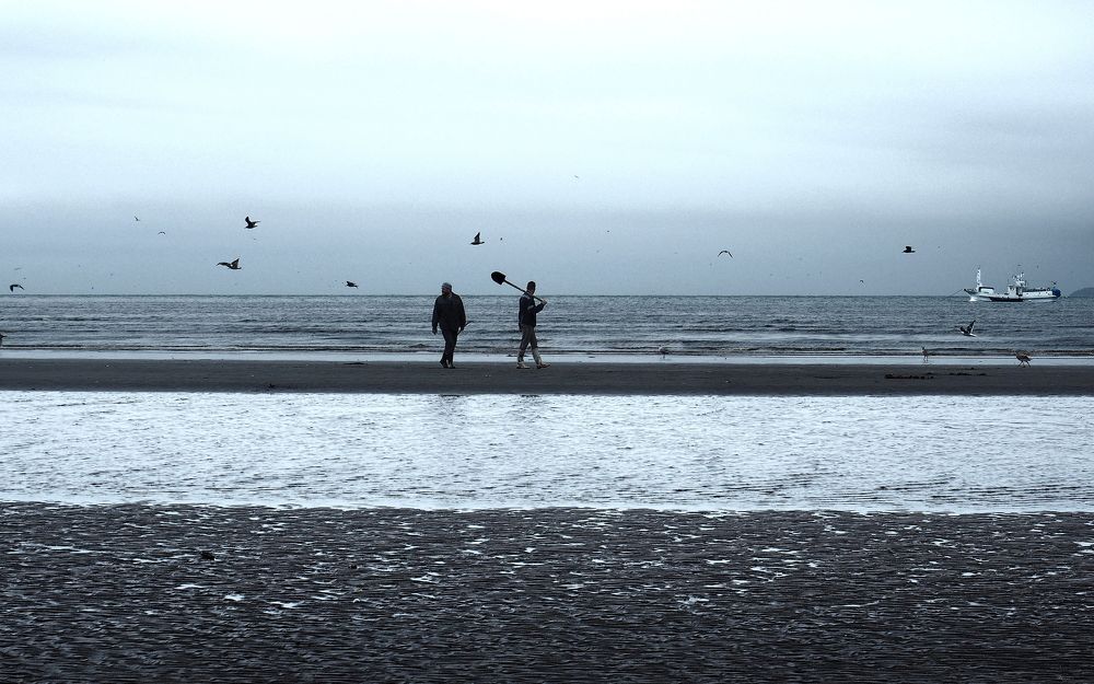 Собиратели моллюсков Shellfish gatherers